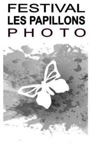 les-papillons-photo
