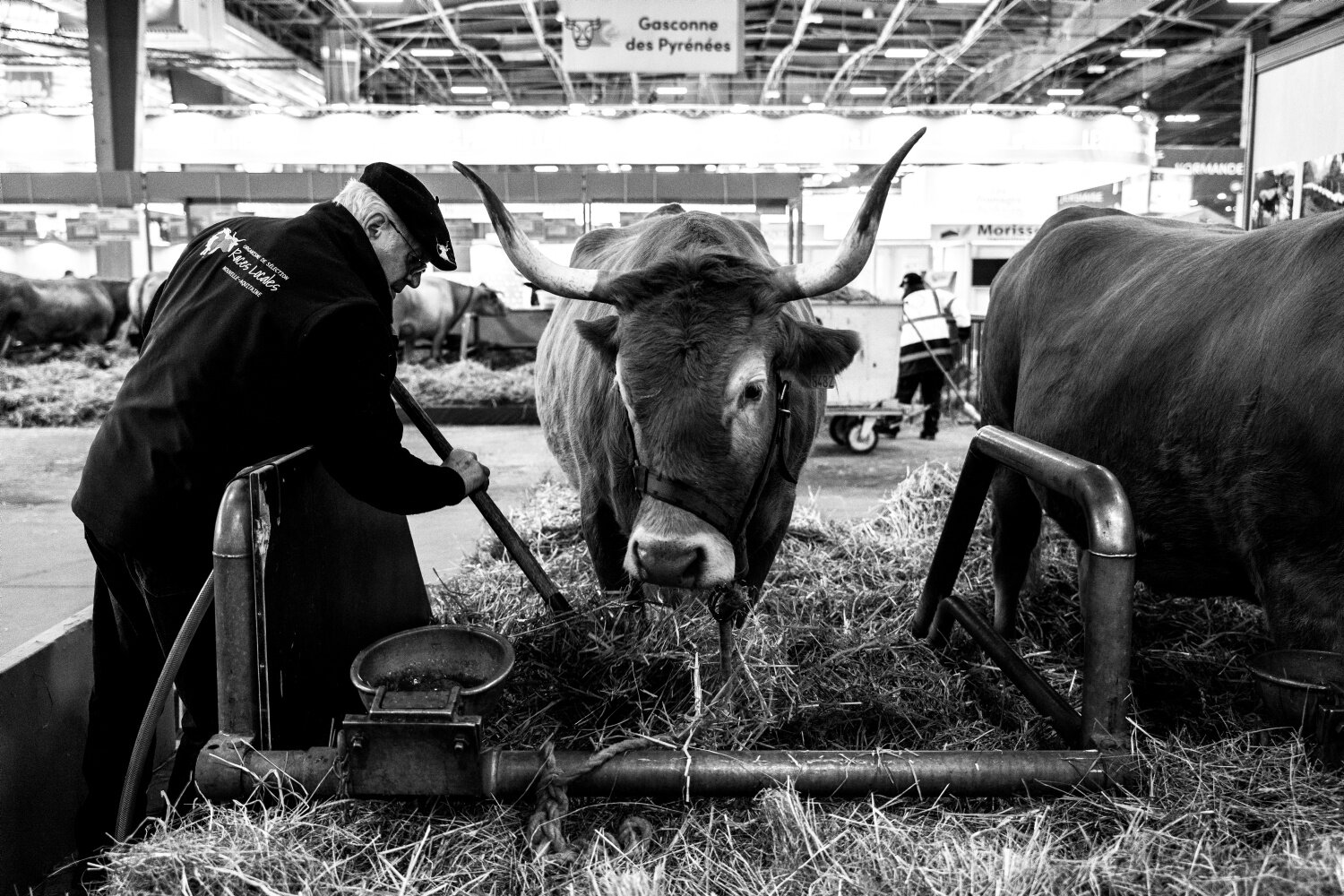 Salon de l'Agriculture 2023