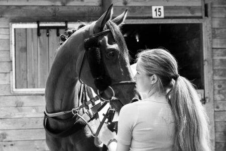 Courses de Rostrenen à l'hippodrome de Quenropers