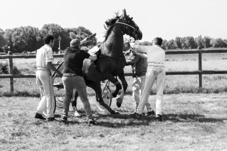 Courses de Rostrenen à l'hippodrome de Quenropers