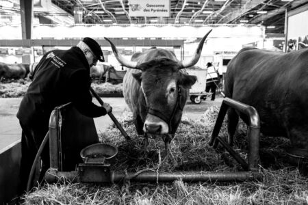 Salon de l'Agriculture 2023